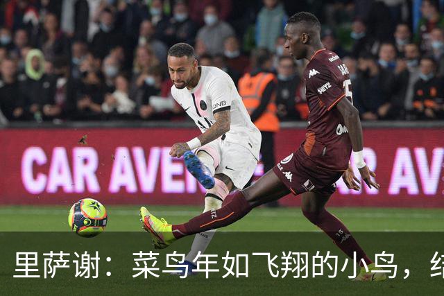 里萨谢：菜鸟年如飞翔的小鸟，结果却跌入了迷雾