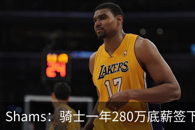 Shams：骑士一年280万底薪签下31岁克罗地亚前锋海佐尼亚 曾效力NBA五年后重返